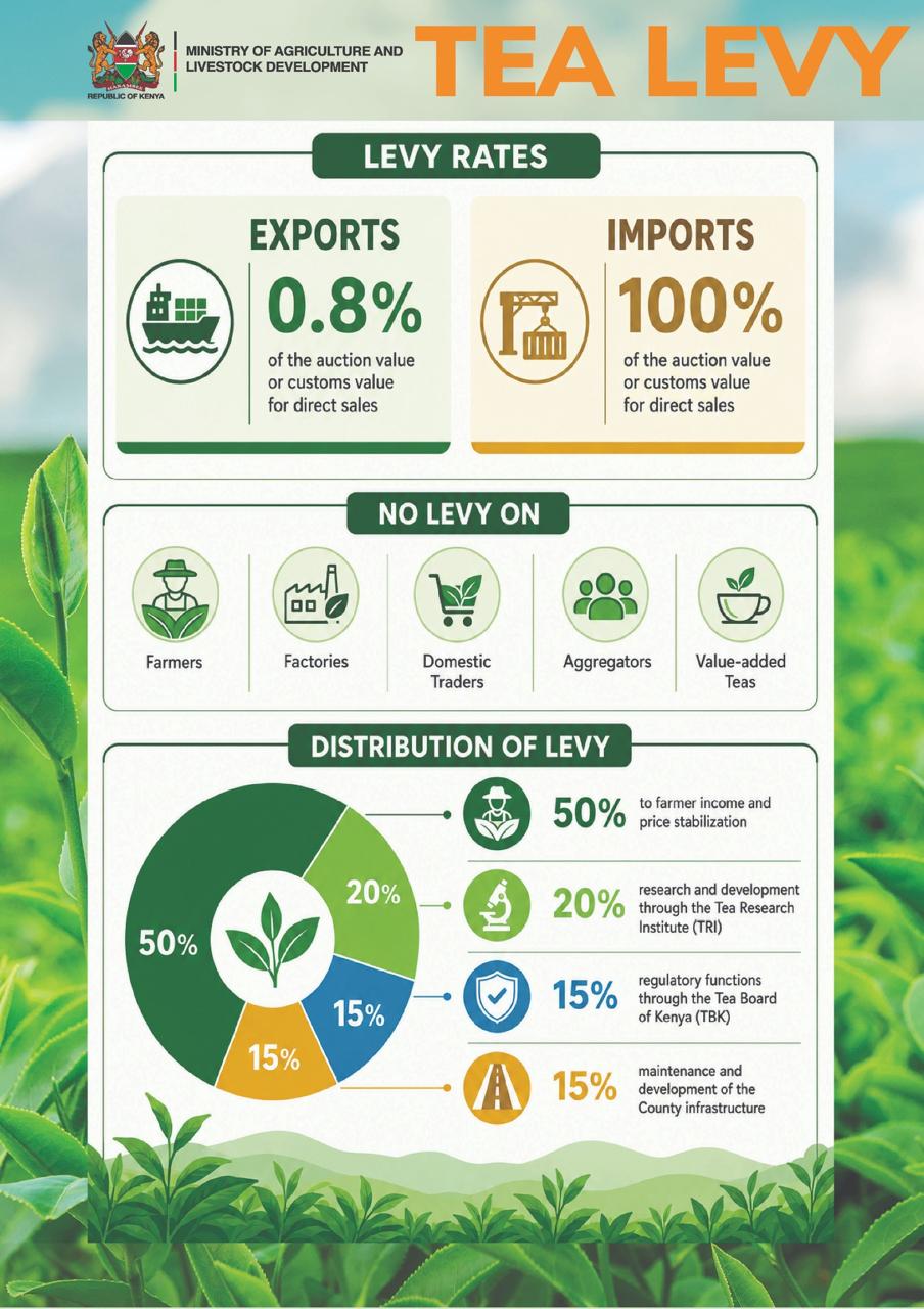 How Kenya's tea levy will work and who will pay