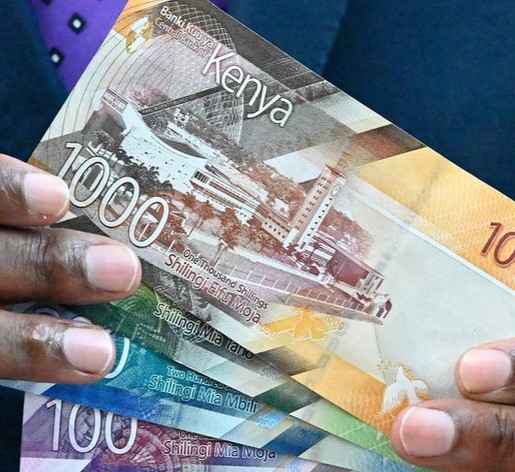 Public Debt Sustainability: Is Kenya's Debt-to-GDP Ratio a Cause for Alarm?